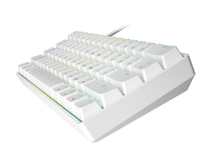 HK GAMING GK61 Mechanical Gaming Keyboard | 61 Keys RGB Backlit for Pc/Mac ( White, Gateron Optical Blue)