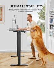 Height Adjustable Electric Standing Desk, 48 X 24 Inches Sit Stand up Desk, Memory Computer Home Office Desk (Black)